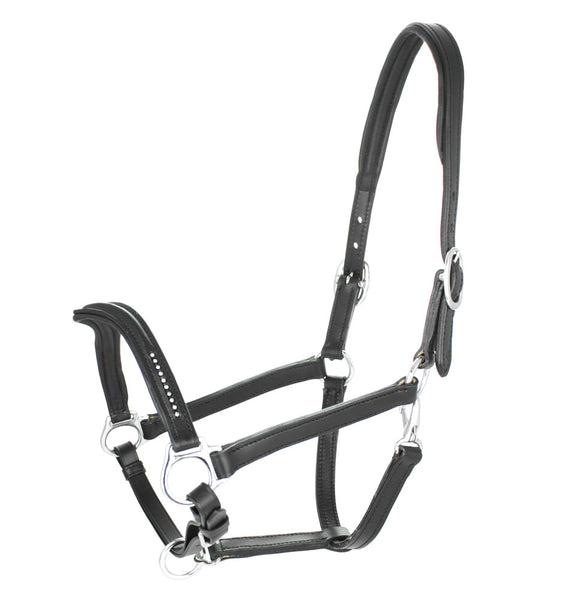 CAVEZZA NYLON EQUESTRO C/ LUNGHINA MODELLO SHINY FITTINGS,CAVEZZE,EQUESTRO